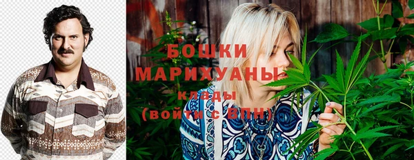 Альфа ПВП Коряжма