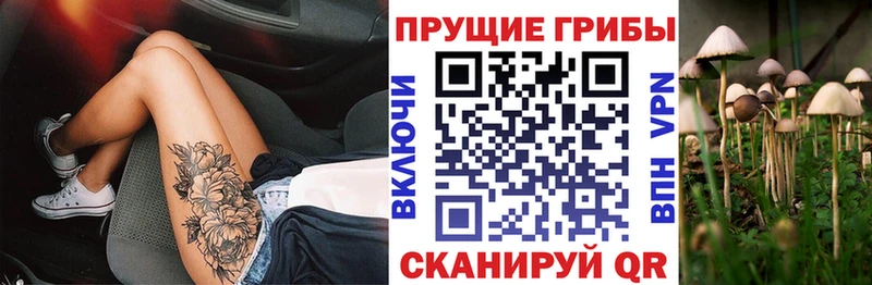Купить  Алушта  Псилоцибиновые грибы ЛСД 